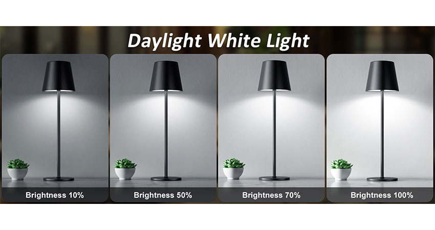 Battery Operated LED Desk Lamp (2)