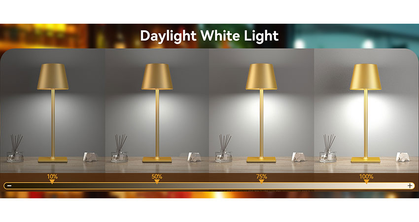 Cordless Table Lamp (5)