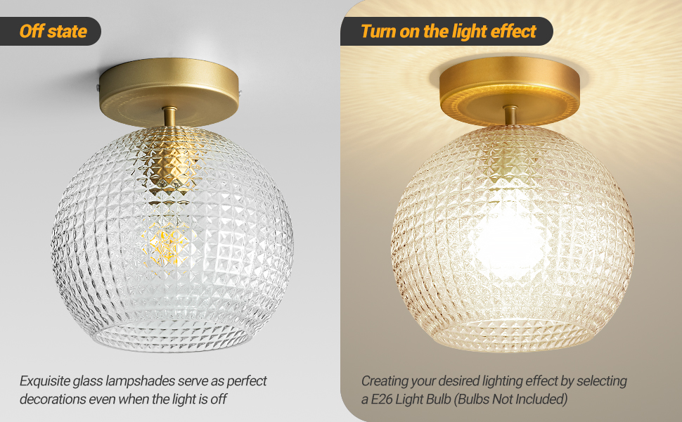 Semi Flush Mount Ceiling Light Fixture (3)