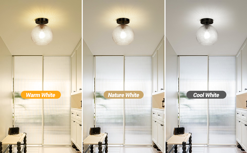 Semi Flush Mount Ceiling Light Fixture (11)