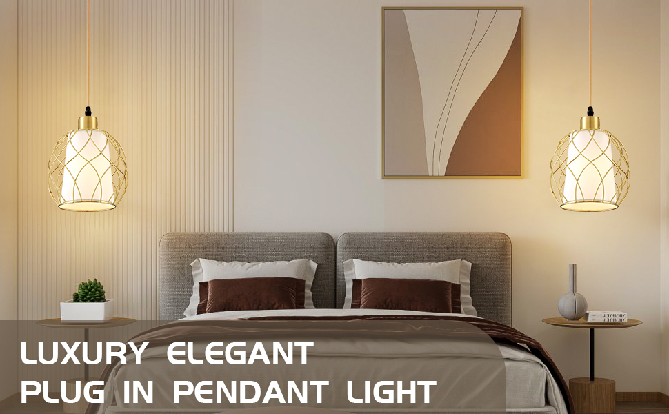 Plug in Pendant Light (2)