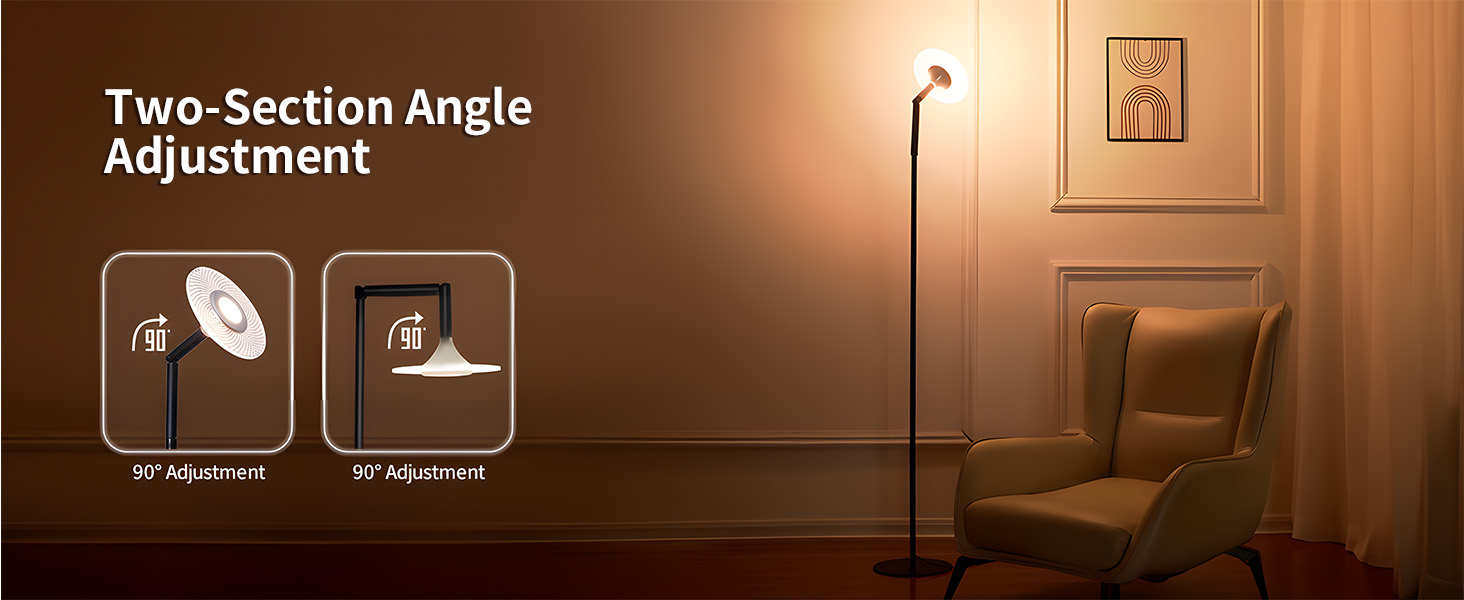 Floor Lamp for Living Room (3)