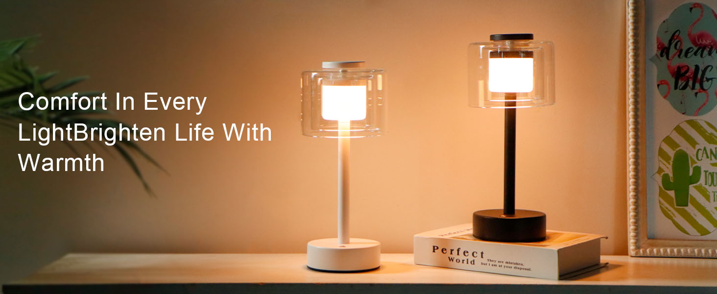 Industrial Touch Control Table Lamp (8)