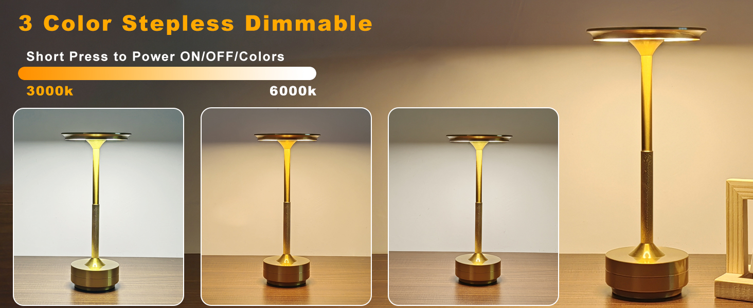 Table Lamps (2)