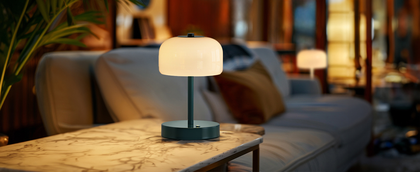 Cordless Table Lamp (11)