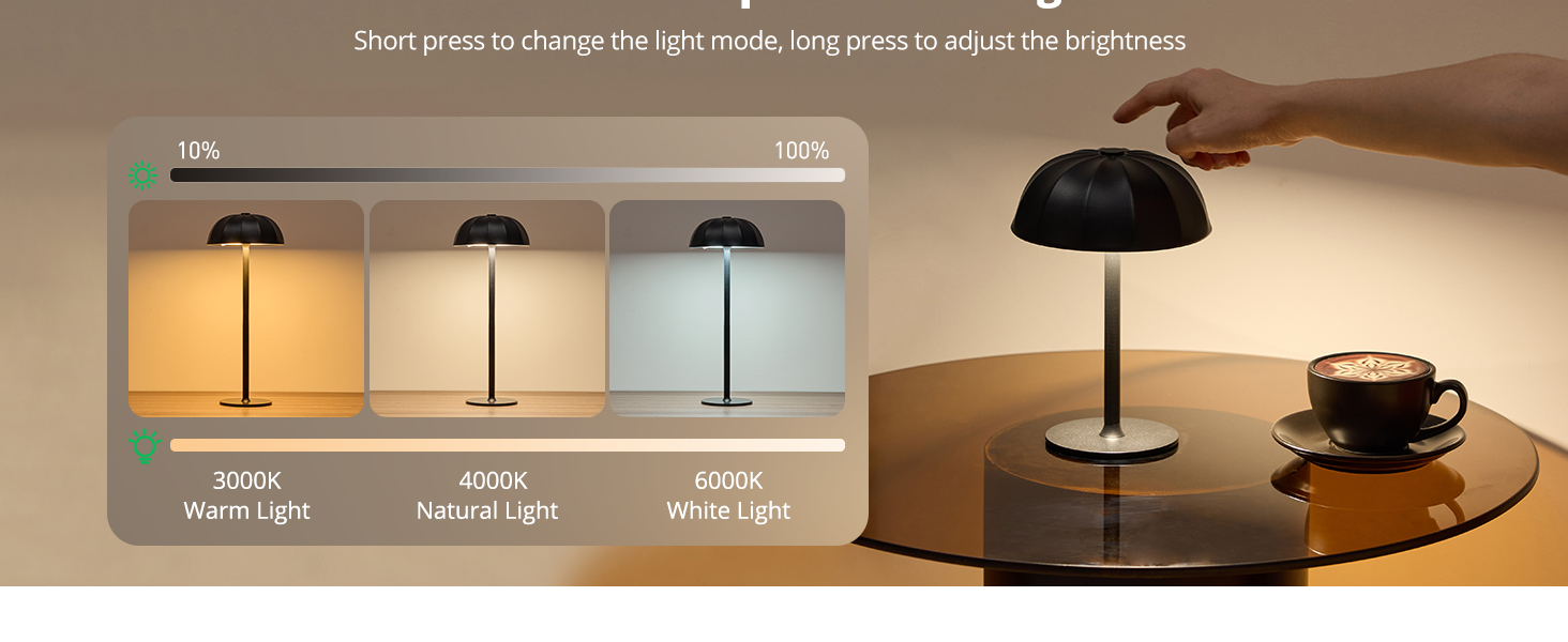 Cordless Table Lamp (6)