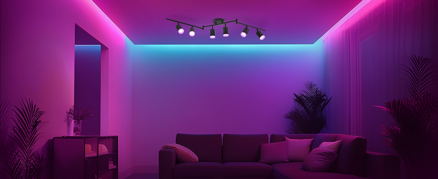 Gold Track Lighting Kit (5)