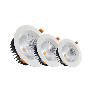 10W 20W 30W Recessed LED downlight 3000K 4000K optional Black and white optional
