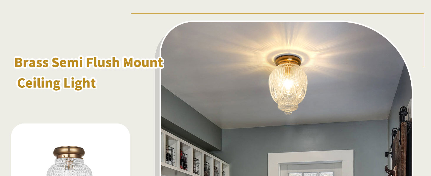 Flush Mount Ceiling Light (1)
