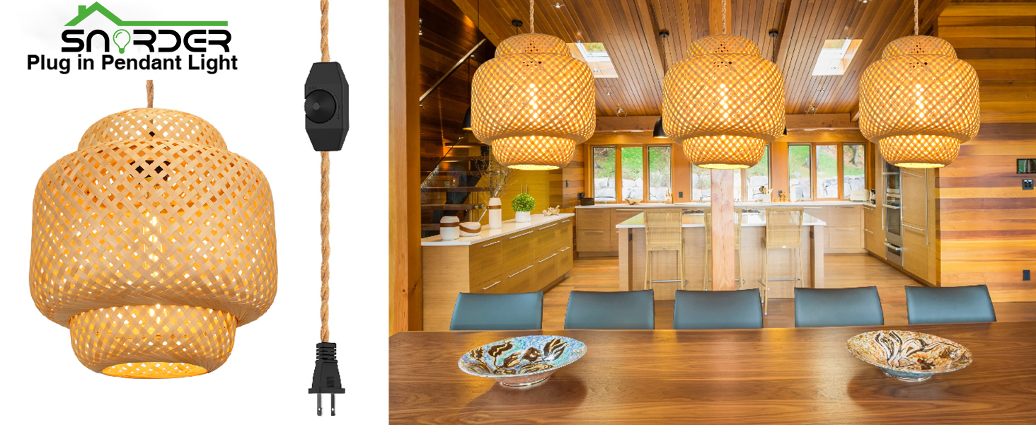 Plug-in-Pendant-Light-(5)
