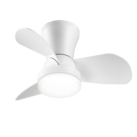 Ceiling Fans with Lights and Remote, Low Profile Ceiling Fan with Light, Modern Flush Mount Ceiling Fan for Bedroom/Kitchen/Dining Room/Patio, 6 Wind Speeds, Dimmable