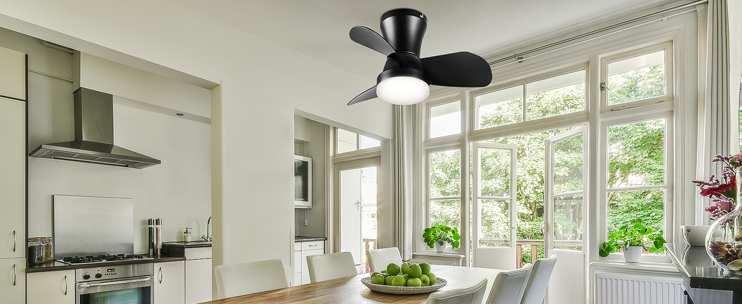 Ceiling Fans with Lights (9)