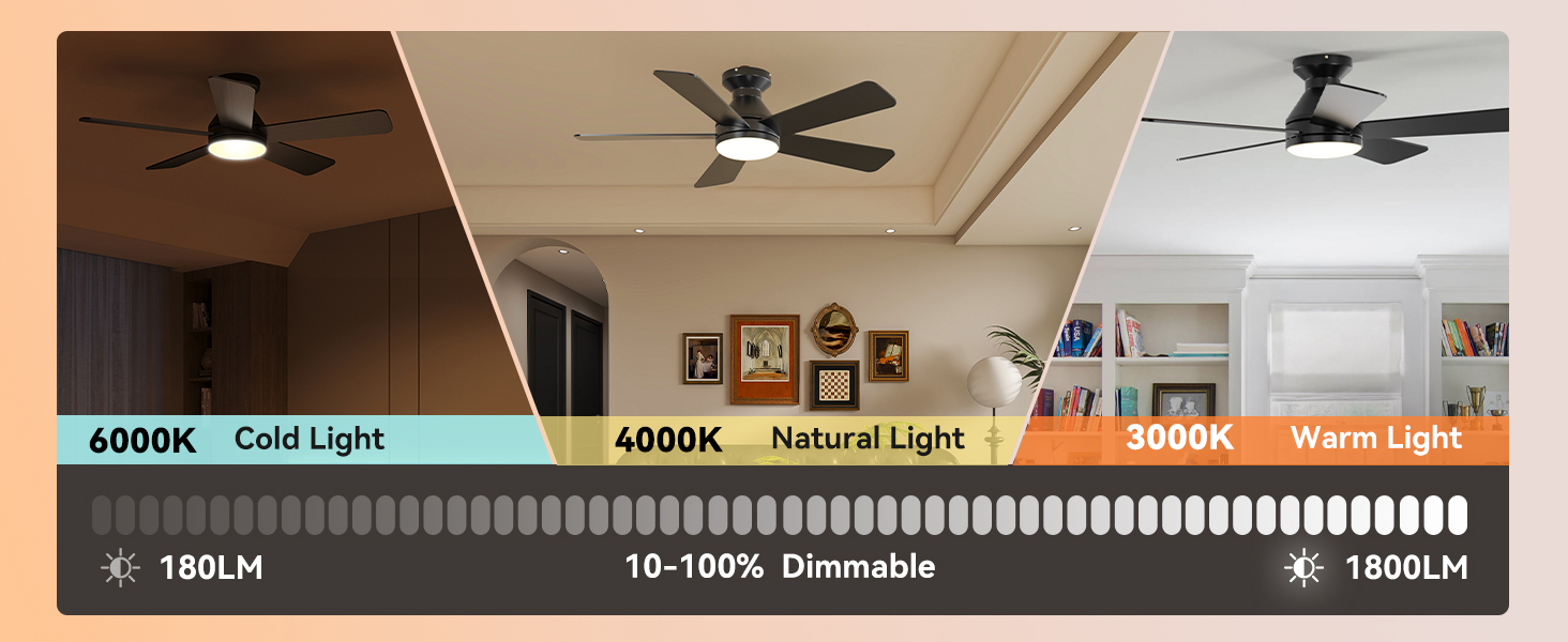 Ceiling Fans with Lights (60)
