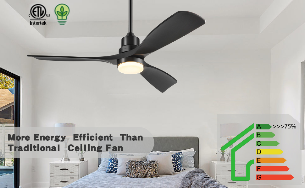 Ceiling Fan with Lights Remote Control (12)