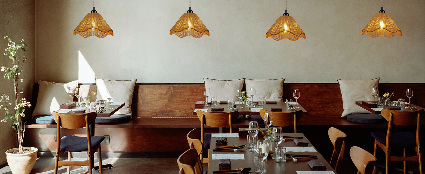 Plug in Pendant Light (5)