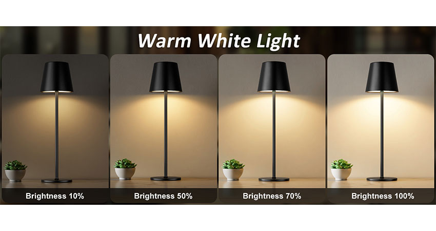 Battery Operated LED Desk Lamp (3)