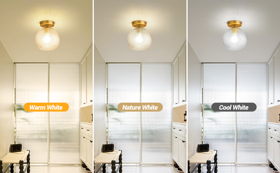 Semi Flush Mount Ceiling Light Fixture (11)