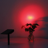 Outdoor Ip55 Waterproof Led Solar Spike Light With Four Switchable Modes