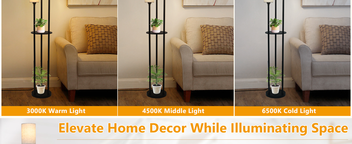 Floor Lamp with Shelves (3)