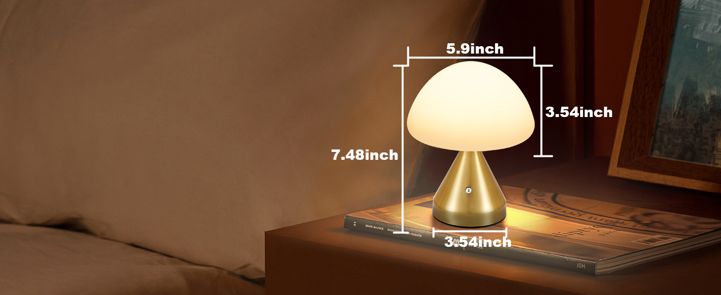 Cordless Small Mushroom Lamp (6)