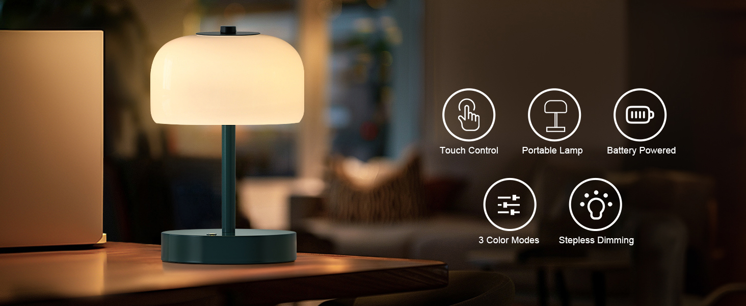 Cordless Table Lamp (2)