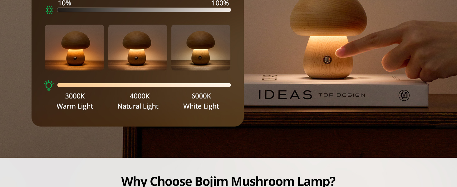 Wood Mushroom Lamp (3)