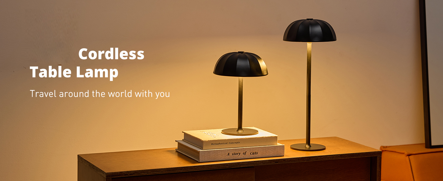 Cordless Table Lamp (1)