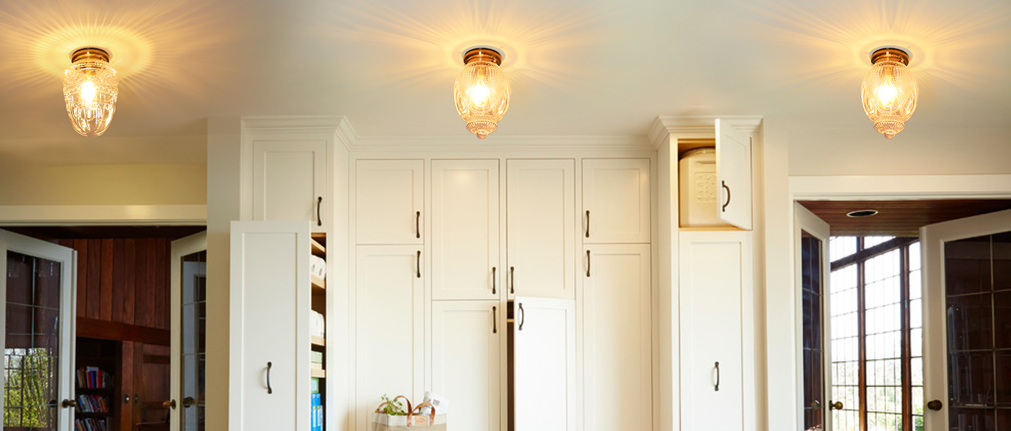 Flush Mount Ceiling Light (7)
