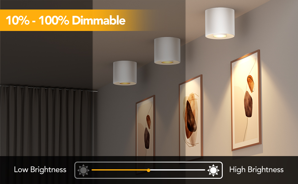 LED Ceiling Spot Lights (4)