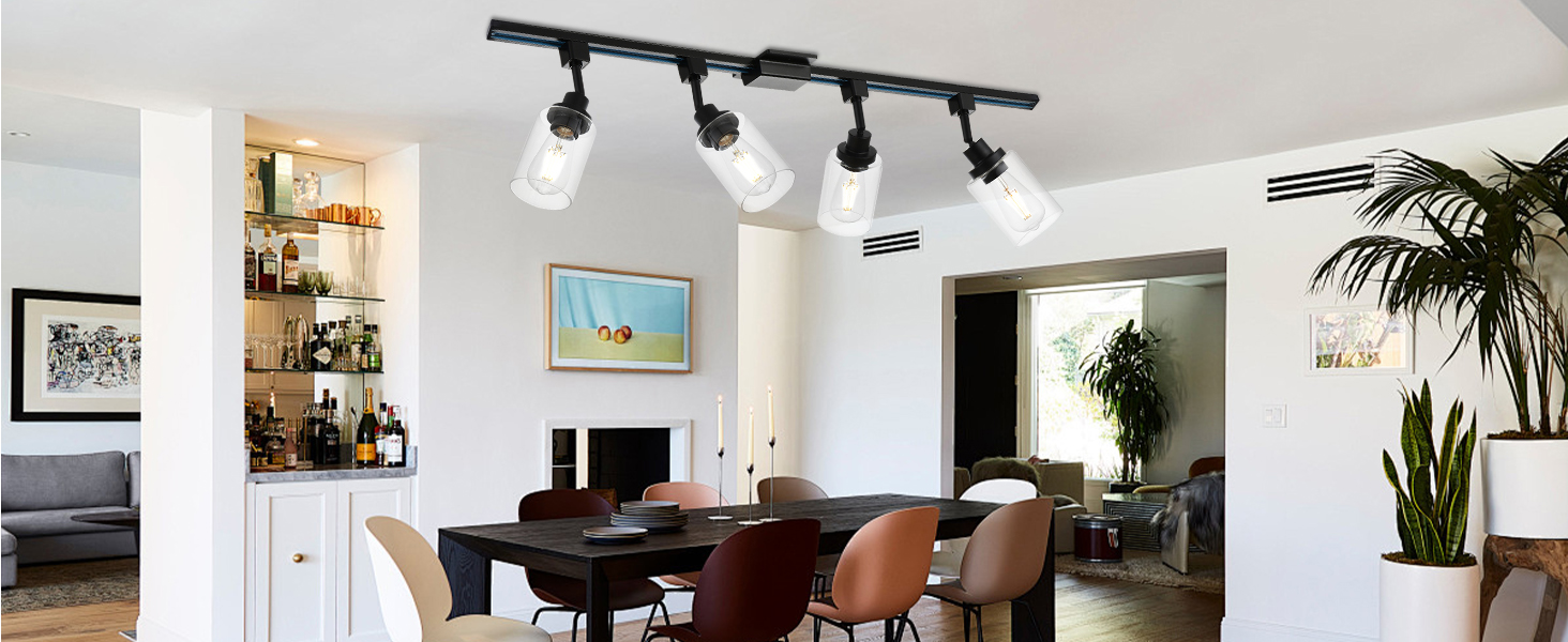 H-Type Track Lighting Heads Black with 39.3 Inches H-Type Tracking Rail (4)