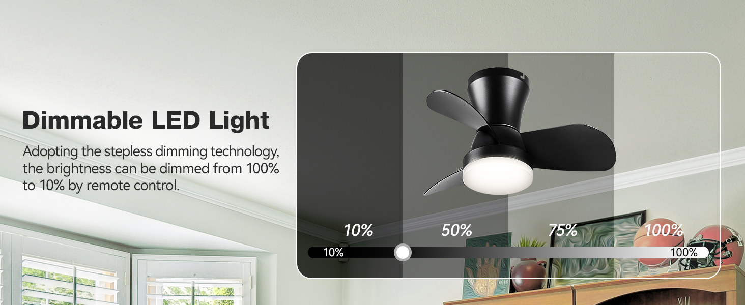 Ceiling Fans with Lights (6)
