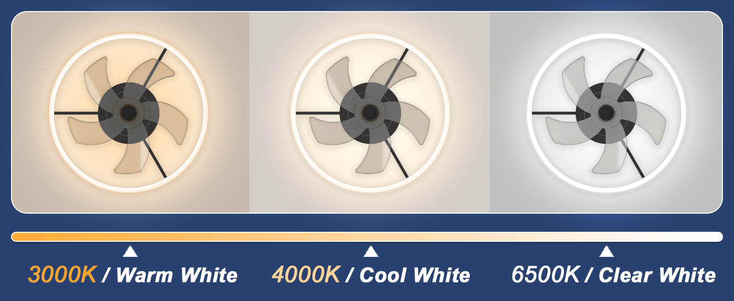 Low Profile Ceiling Fans with Lights (9)