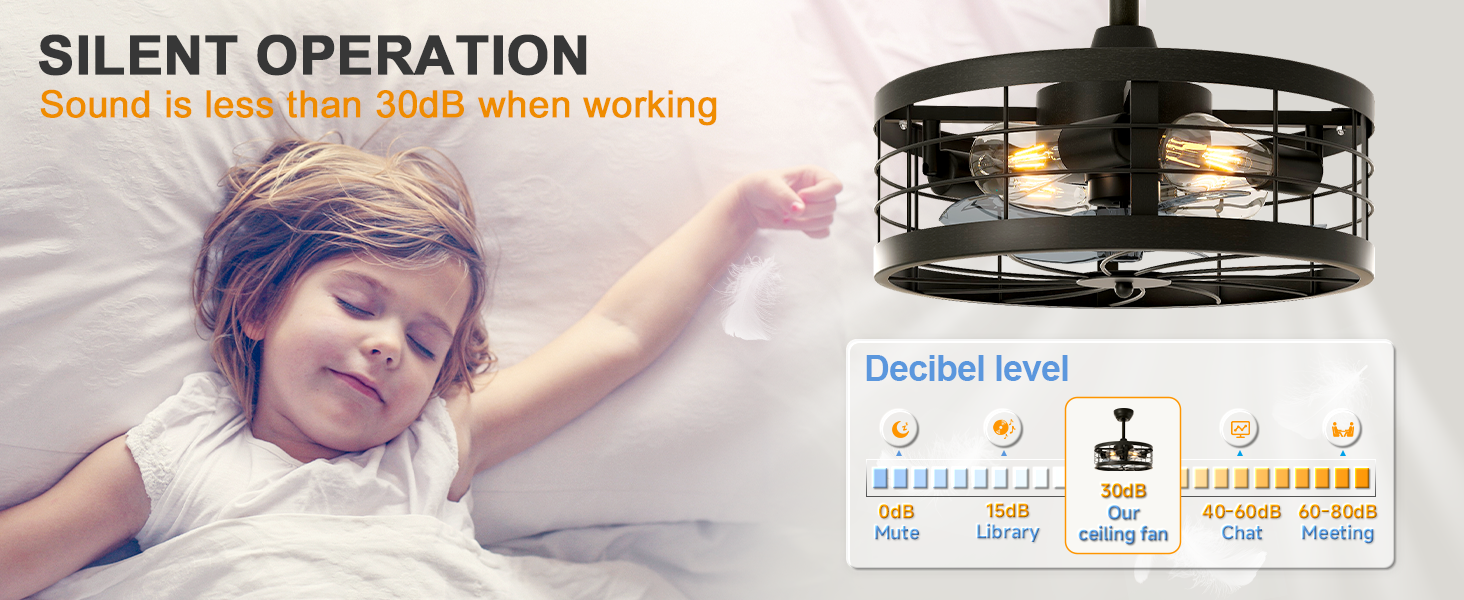 Caged Ceiling Fan with Light (5)
