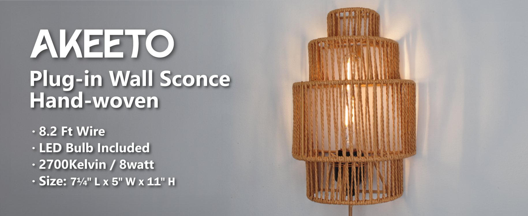 Plug-in Wall Sconce (3)