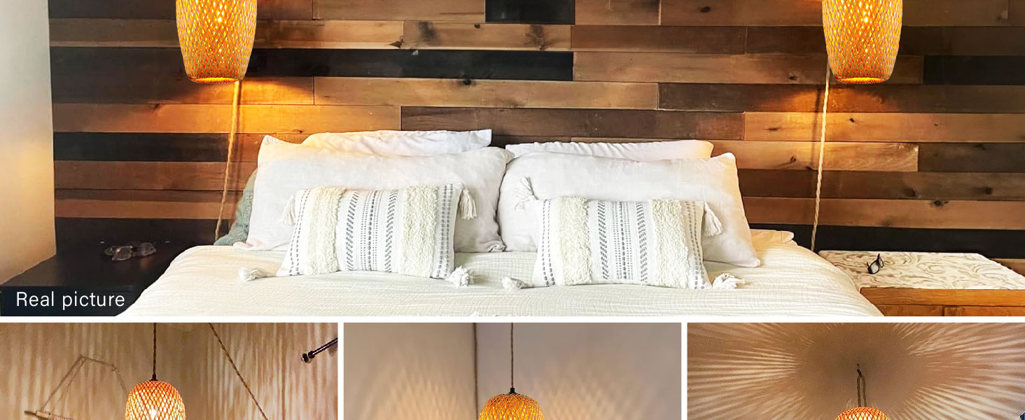 Plug in Pendant Light (5)