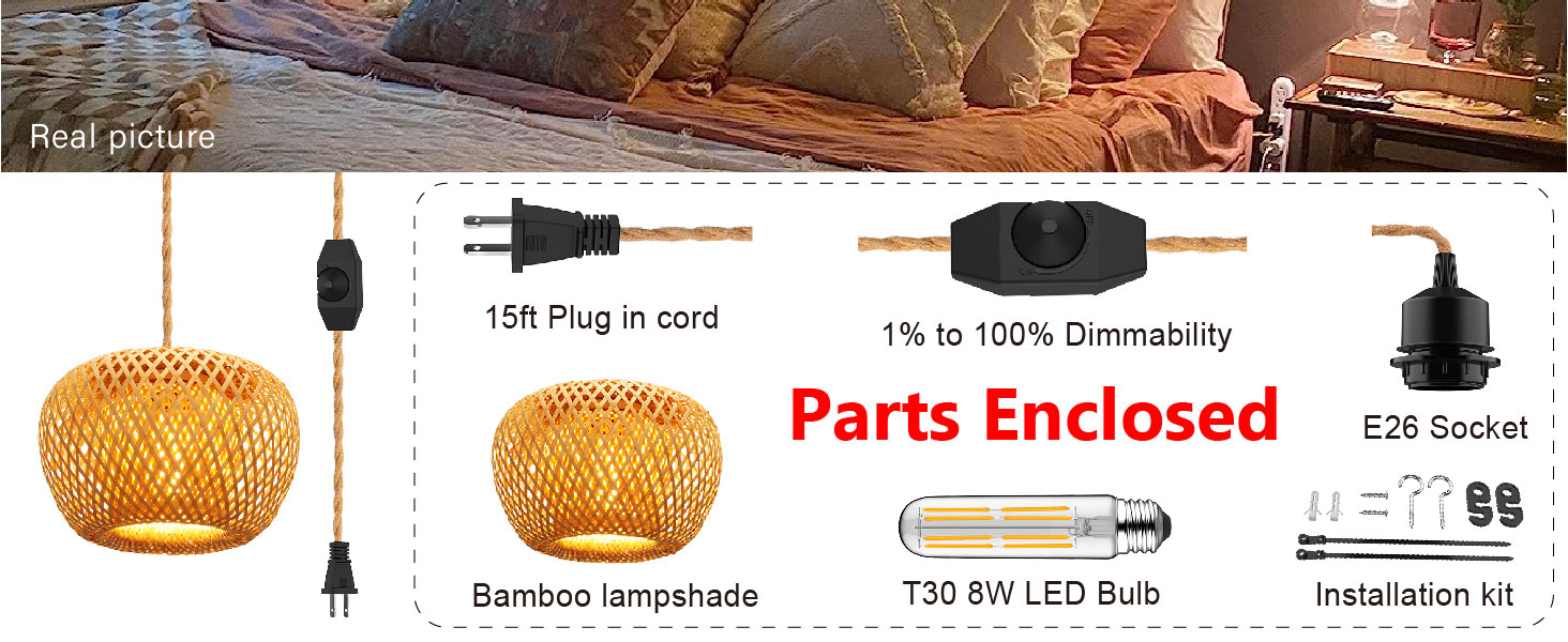 Plug in Pendant Light (5)