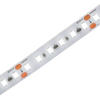 20m/roll Wholesale 24V Hot Sale LED Strip Light 9W Wholesale Modern Decorative Lighting 2700K/4000K Selectable