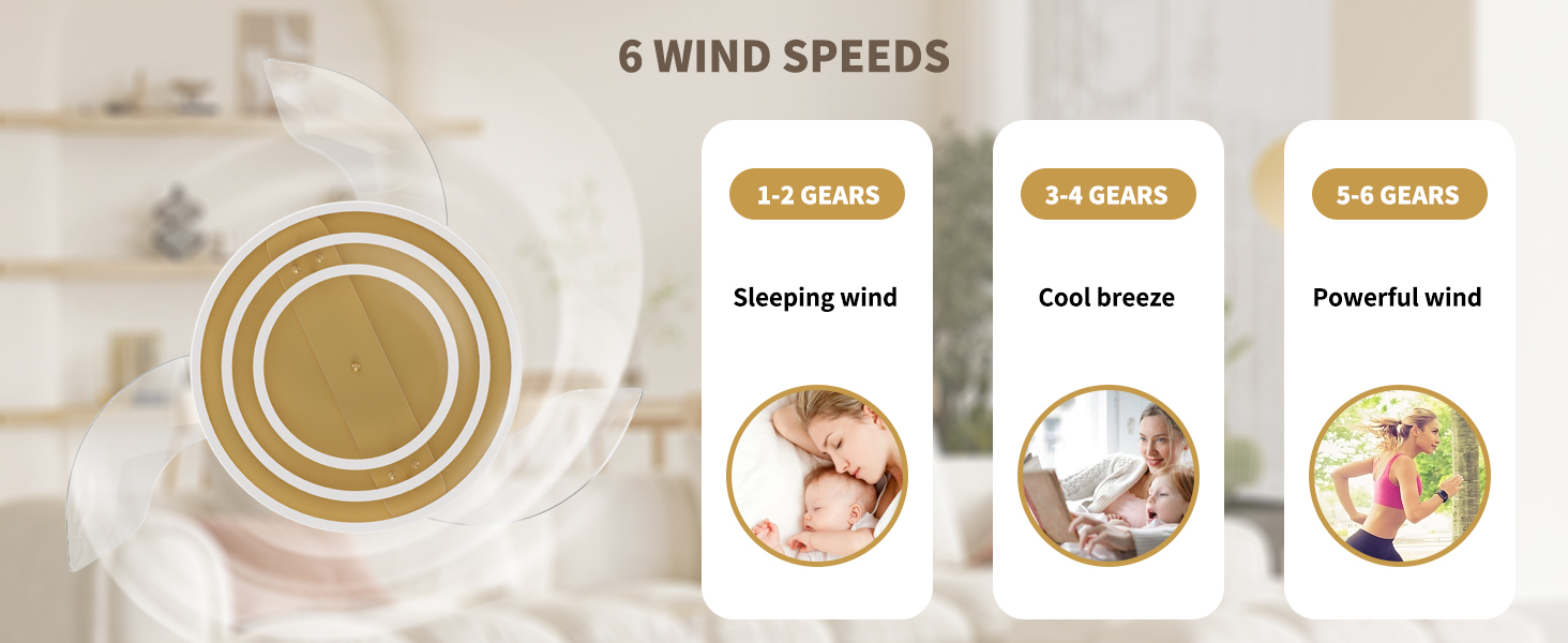 Retractable Ceiling Fan (4)
