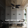  52" Tropical Ceiling Fans with Lights, Indoor Outdoor Black Ceiling Fan with Remote/APP Control, Flush Mount 5 Palm Leaf Ceiling Fan Light for Bedroom Dining Room Living Room Patios, 6 Speeds Visit t