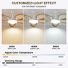 52 Inch Tropical Ceiling Fans with Lights and Remote,Outdoor Palm Leaf Ceiling Fan for Patios Porch Bedroom, Dimmable, 6 Speeds, Reversible