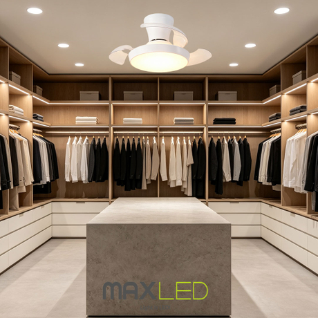 480-4.jpg