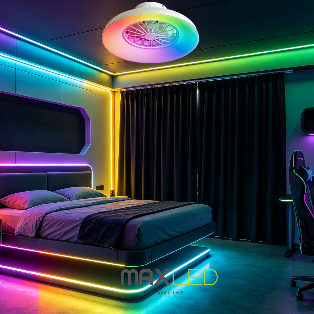 377-767.jpg