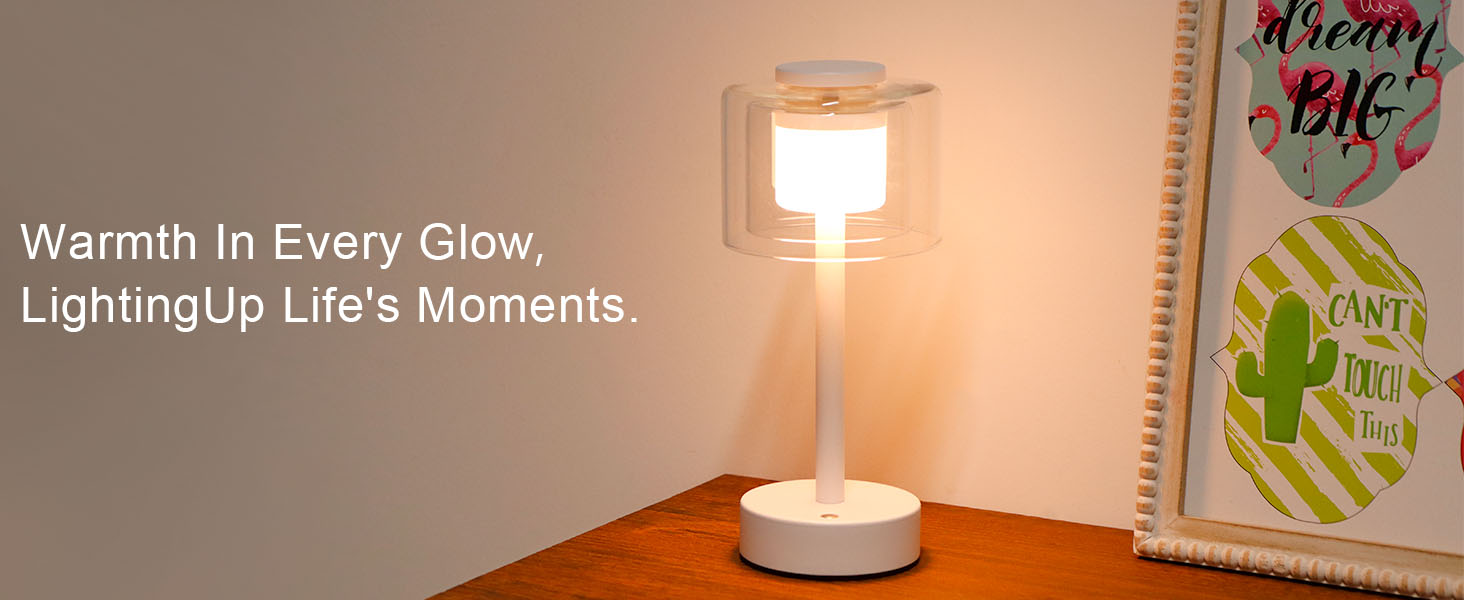 Industrial Touch Control Table Lamp (7)