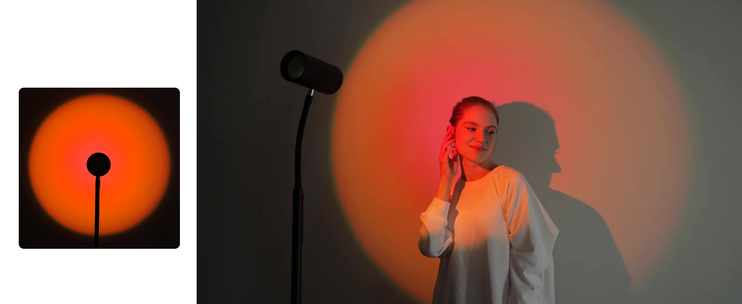 Reading Floor Lamp (9)