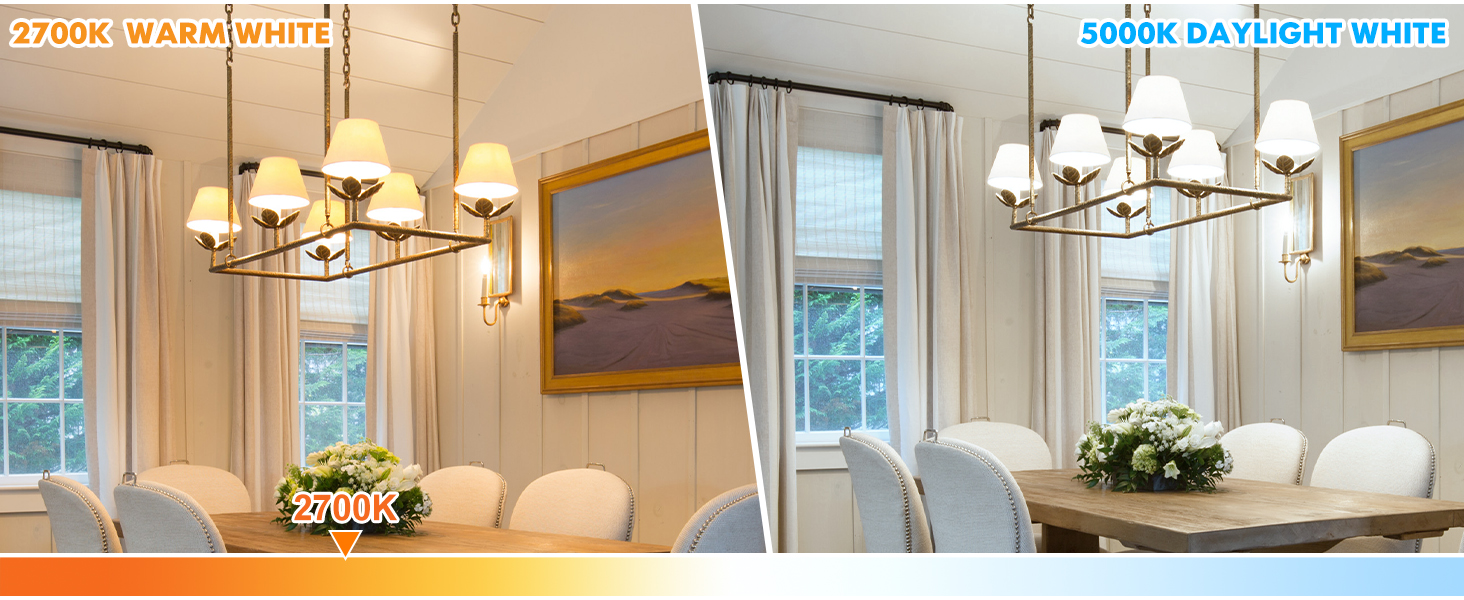 Candelabra LED Light Bulbs (5)