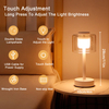 Industrial Touch Control Table Lamp 11"H 3-Way Dimmable Bedside Lamp Rechargeable Nightstand Lamp with Glass Shade for Bedroom Living Room Dining Room Patio Outdoors