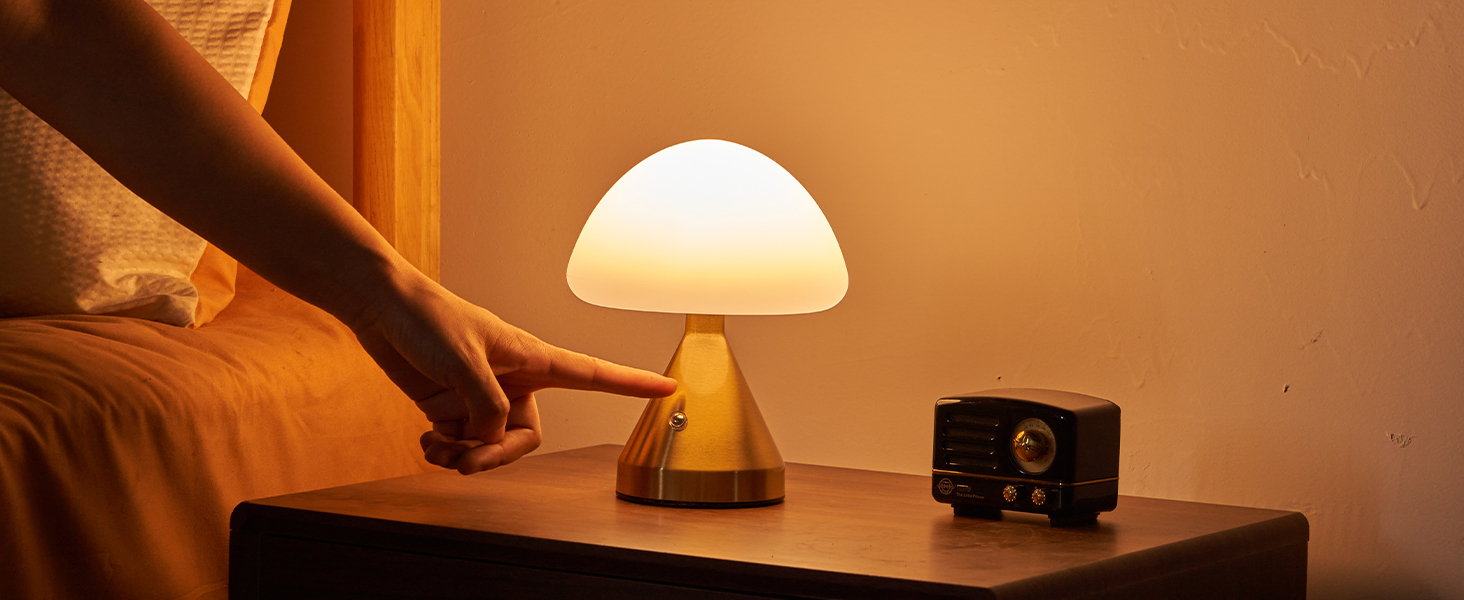 Cordless Small Mushroom Lamp (2)
