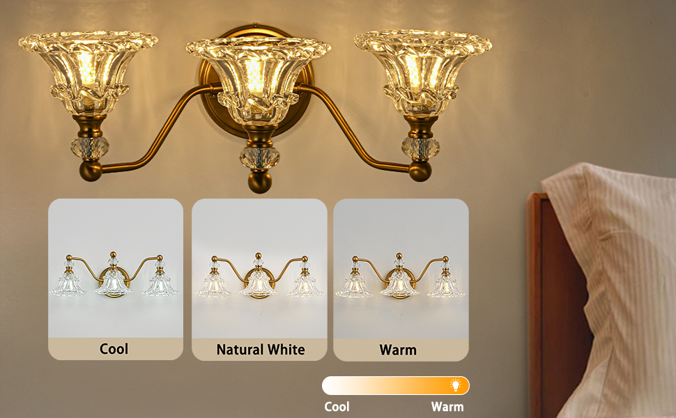 Bathroom Vanity Light (4)