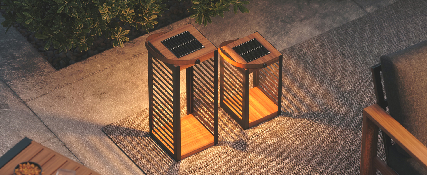 Outdoor Floor Lamp Solar Powered Light (10)