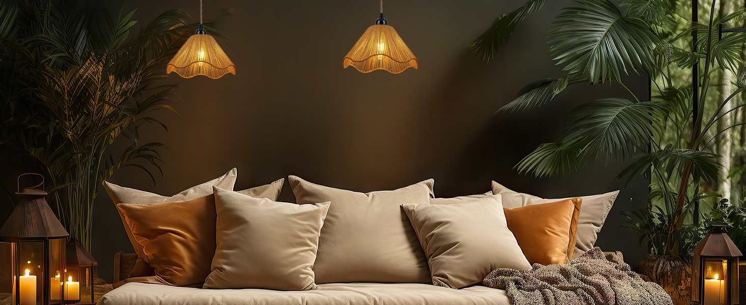 Plug in Pendant Light (6)